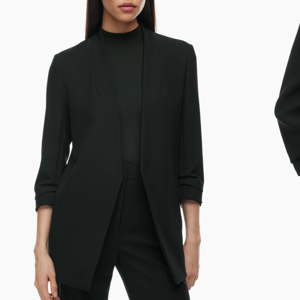 Aritzia Babaton Power Blazer